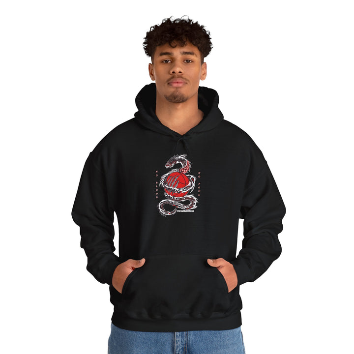 Brawl Ball x ViiV1D "No Blood No Foul" Hoodie - Black