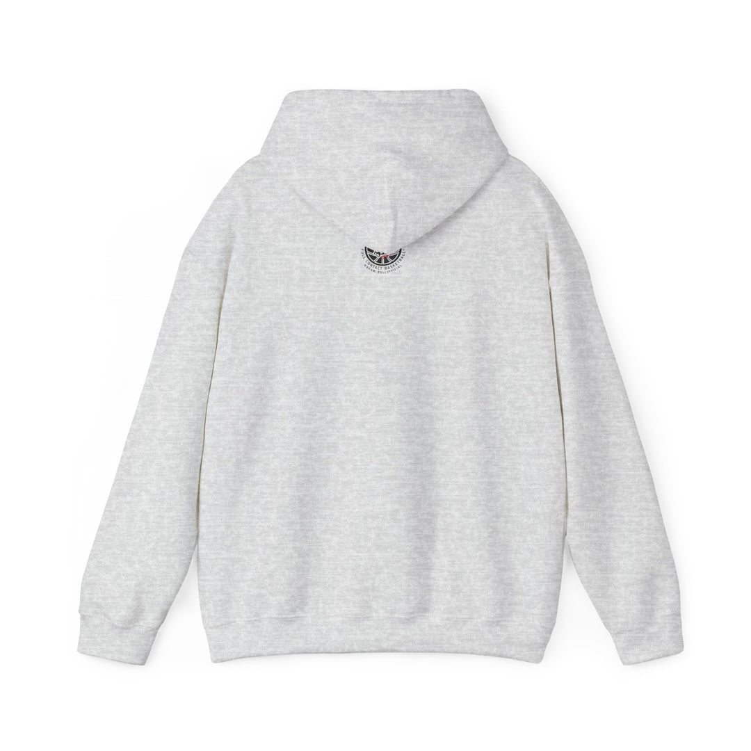 Brawl Ball x Amiya "Swish" Hoodie - Ash